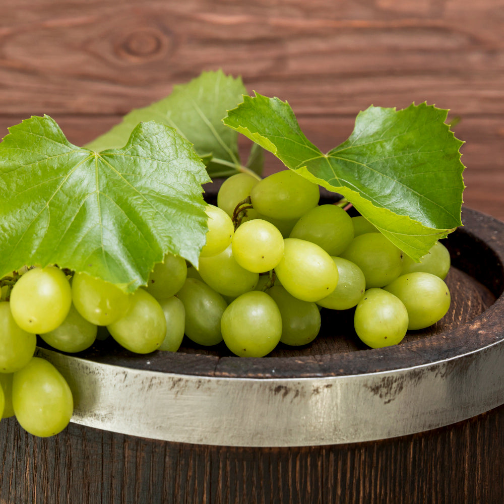 Grape seed extract