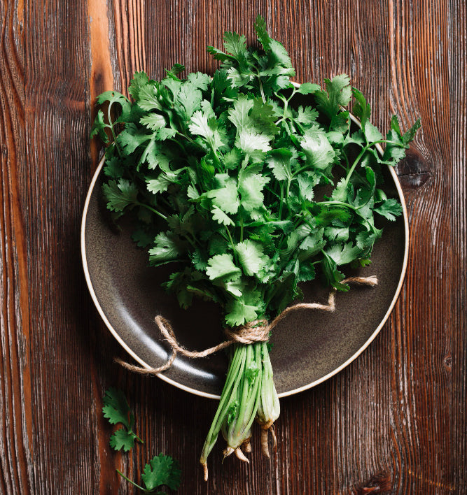 Parsley extract