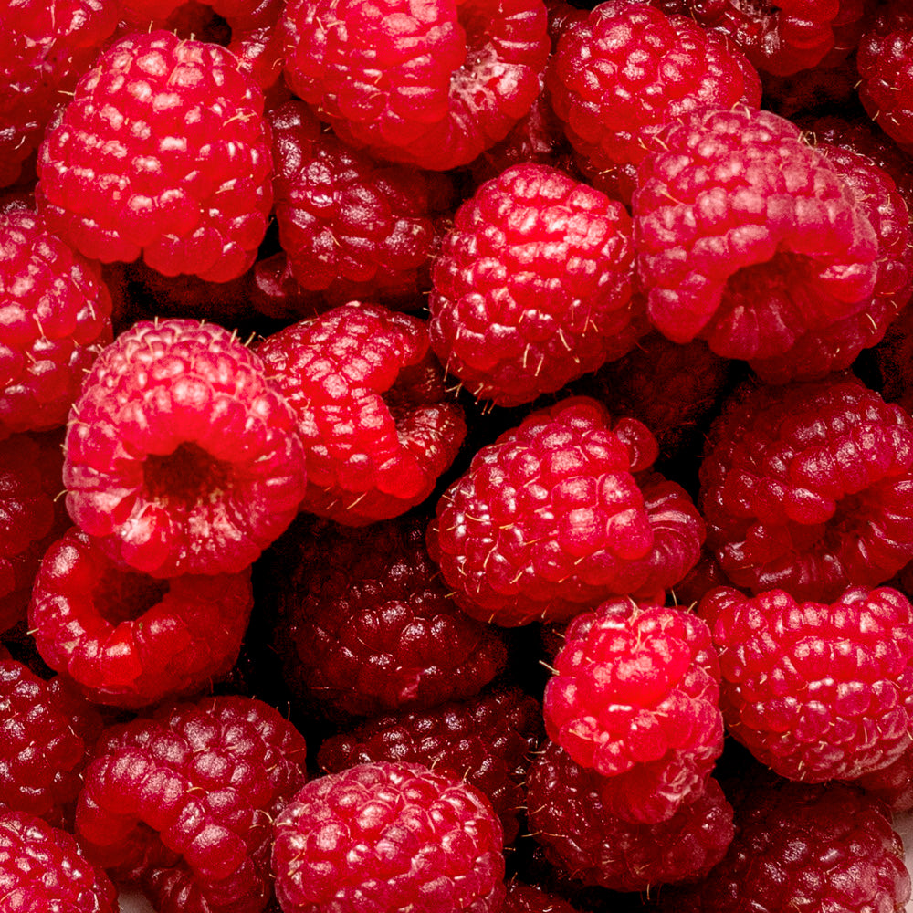 Raspberry Seed Oil